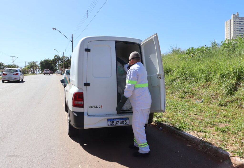 Comurg recolhe 124 animais mortos em Goiânia, no primeiro bimestre deste ano