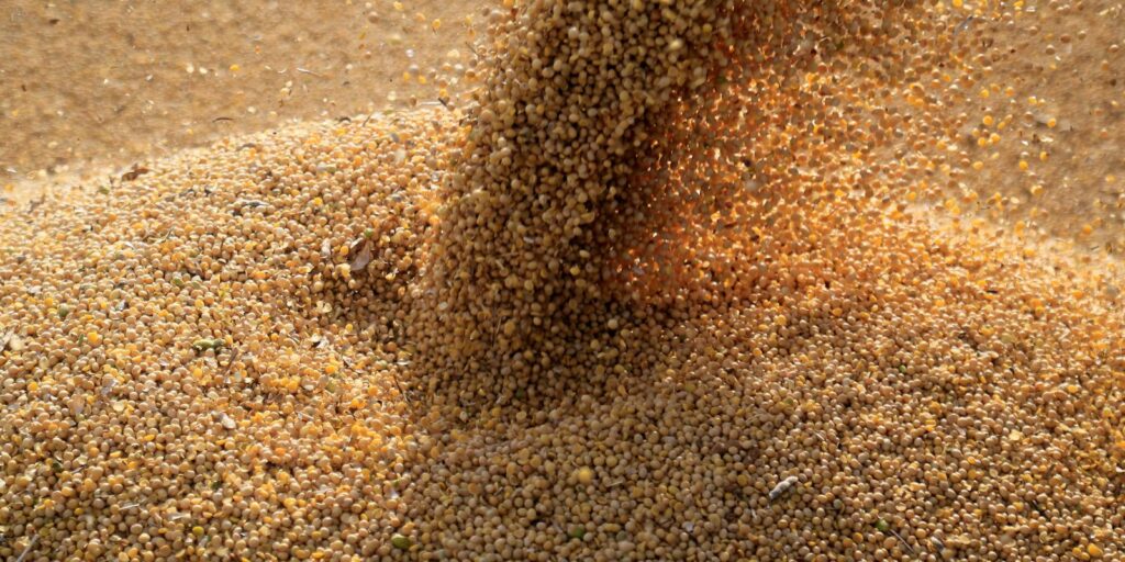 Guerra na Ucrânia afeta preços de commodities agrícolas, segundo Ipea