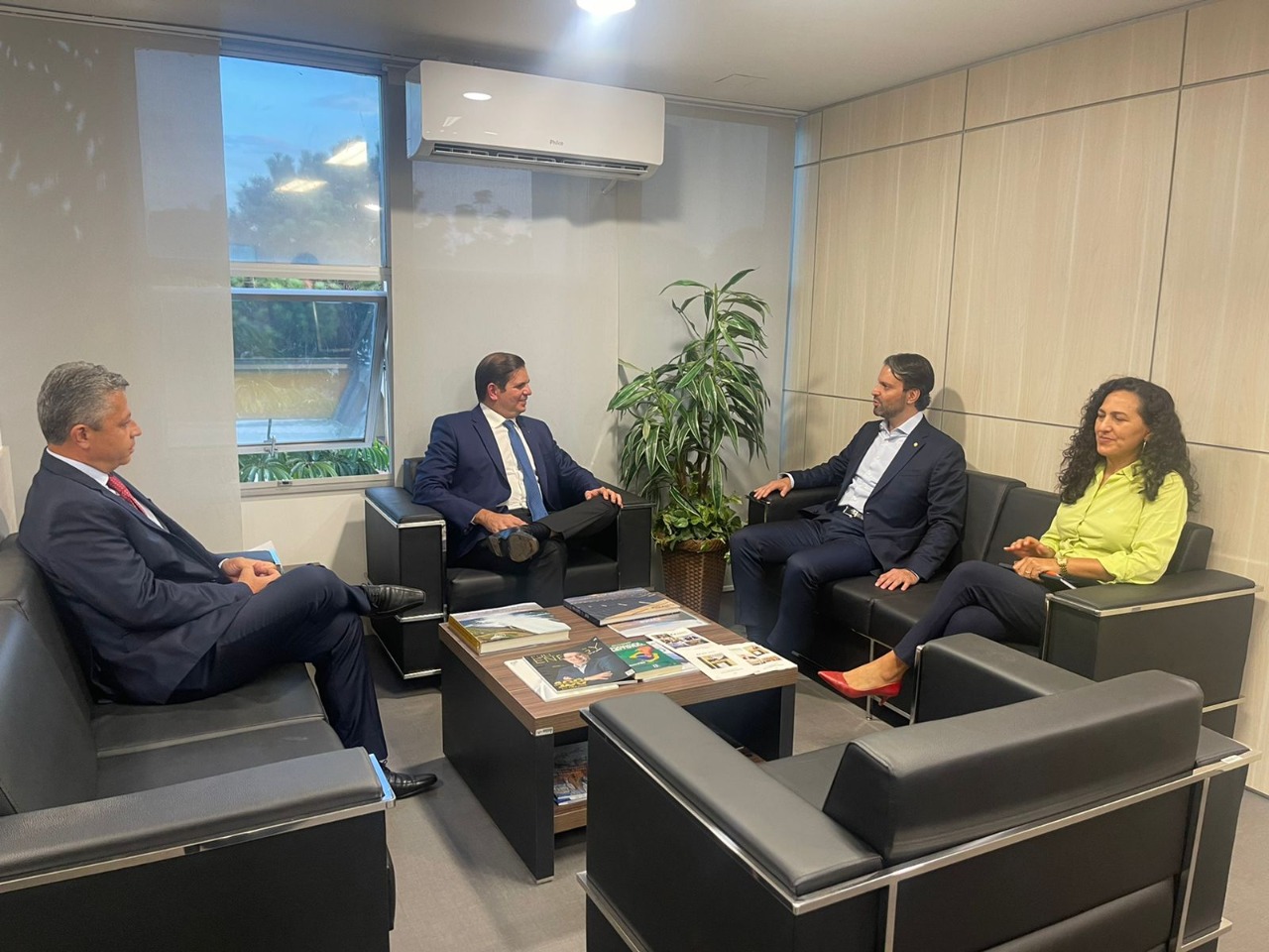 Na Aneel, Alexandre Baldy quer impedir que Goiás leve prejuízo com venda da Enel