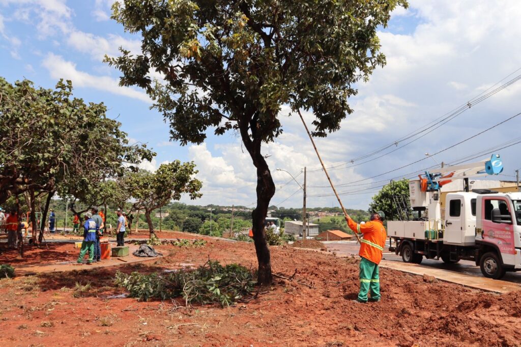 Maratona da Limpeza beneficia 700 bairros da capital com poda preventiva em 3,2 mil árvores e plantio de novas mudas