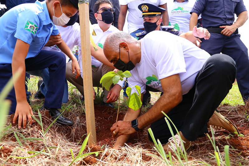 Gestão Rogério Cruz planta 122 mil árvores, revitaliza 23 parques e 257 praças, em Goiânia