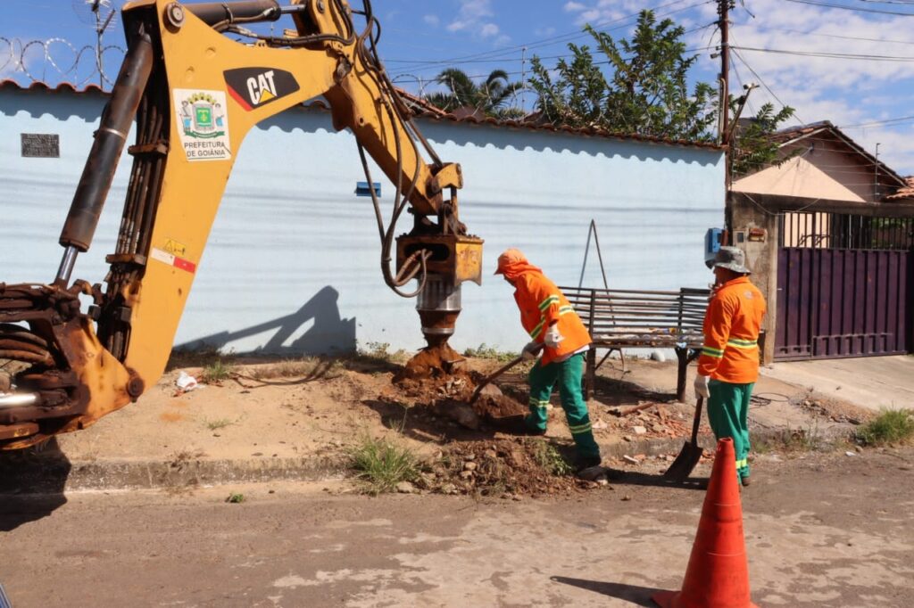 Em Maratona da Limpeza, Prefeitura de Goiânia retira raízes de calçadas para evitar prejuízos à acessibilidade de pedestres