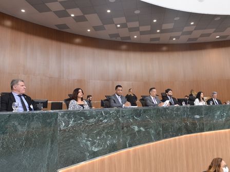 Delegado Eduardo Prado homenageia atuação voluntária da ONG Instituto Viver Melhor, em sessão na manhã desta 5ª-feira, 5