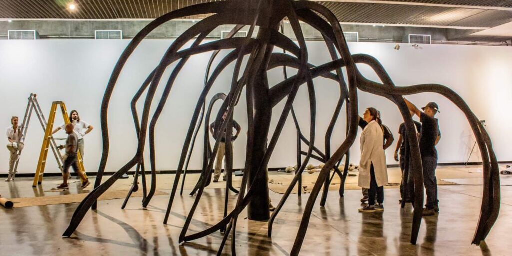 Centenário de Frans Krajcberg é celebrado com exposição no MuBE