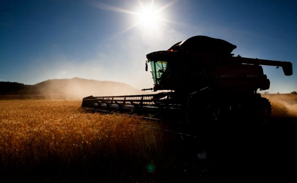 FCO Rural: aprovadas 108 cartas-consulta no valor de R$ 113,5 milhões para Goiás