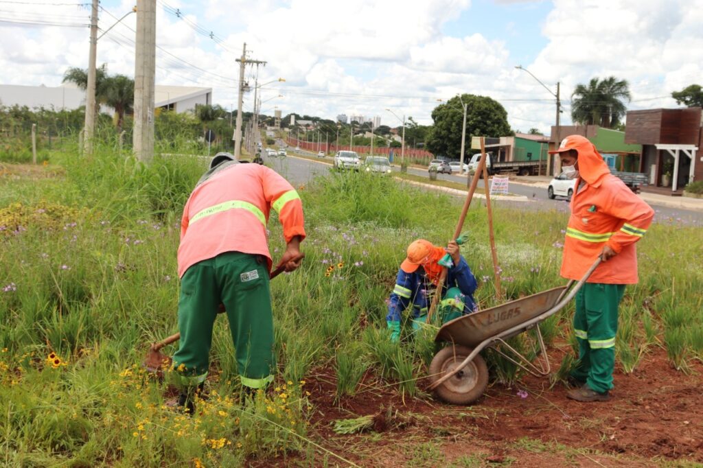 Em quatro meses, Prefeitura de Goiânia executa plantio de 40 mil metros quadrados de grama em praças e canteiros