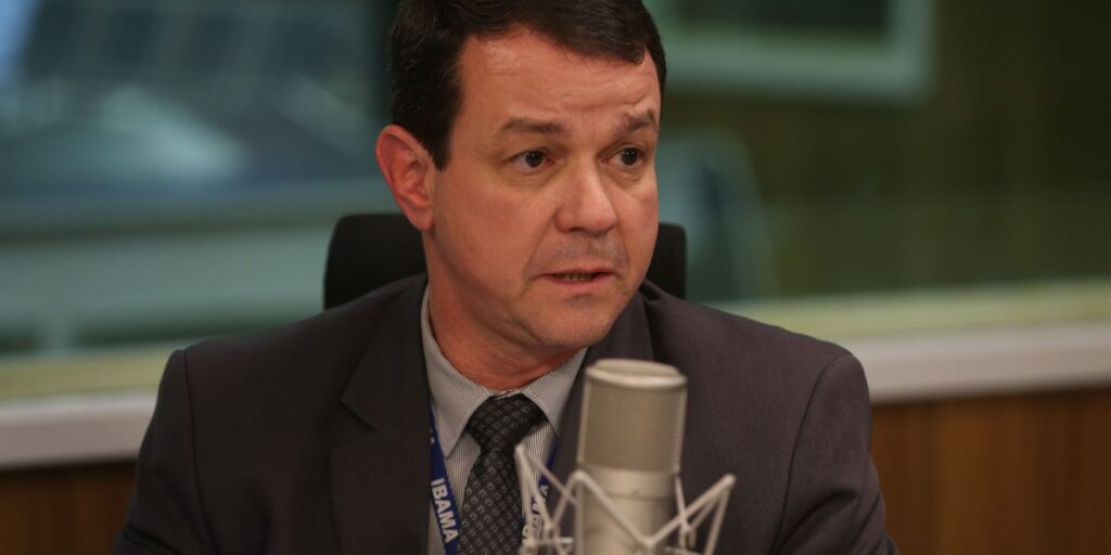 Ibama aplicou 3.800 autos de infração contra desmatamento este ano