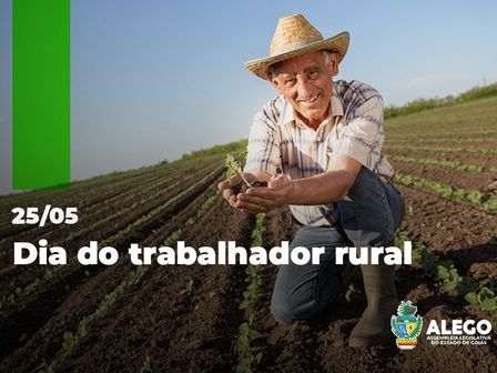 A força no campo