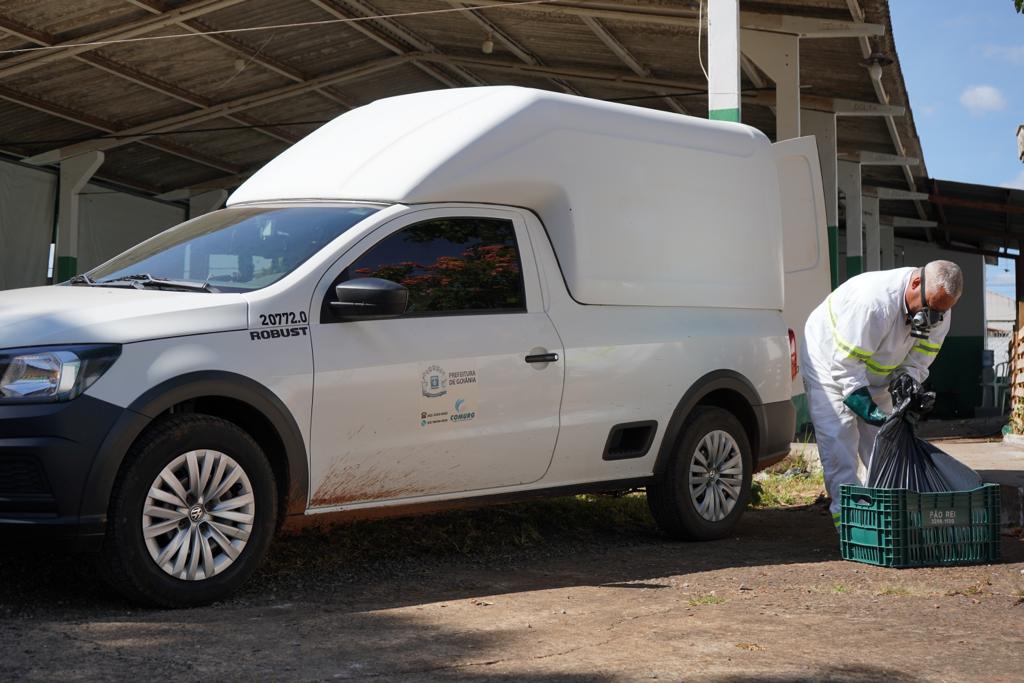 Prefeitura de Goiânia coleta animais mortos em residências e vias públicas