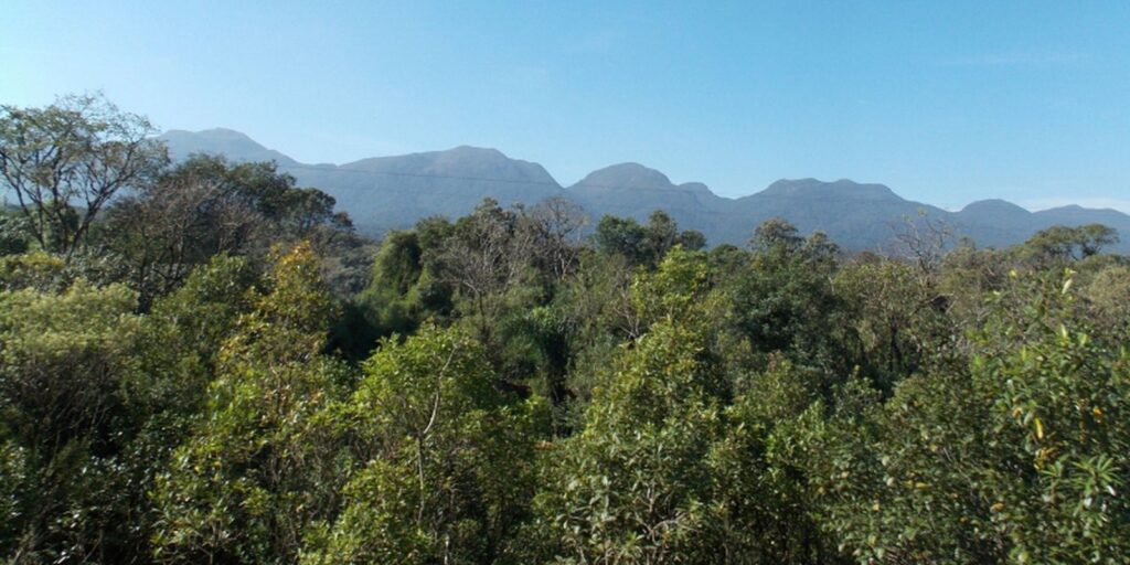 Jardim Botânico do RJ promove a Semana da Mata Atlântica