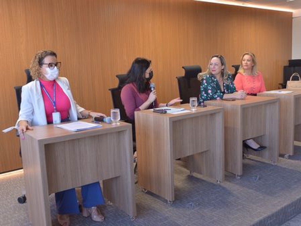 Violência política contra a mulher é debatido em terceiro dia do Seminário Eleições 2022