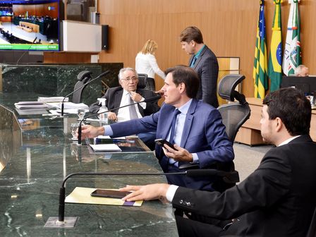 Deliberações do Plenário