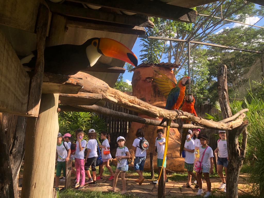 Prefeitura de Goiânia realiza exposição socioambiental no Parque Zoológico, nesta sexta-feira (03/06)