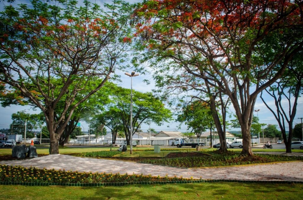Consolidada como capital mais arborizada do Brasil, Goiânia recebe, em 15 meses, plantio de quase 1 milhão de mudas de árvores