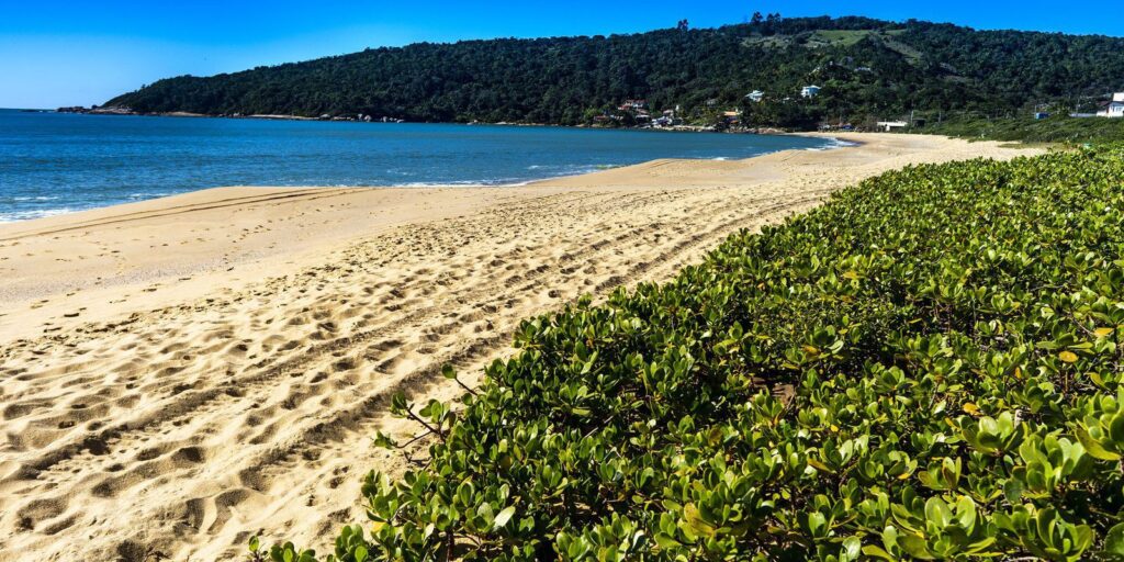 Número de praias e marinas premiadas no Bandeira Azul pode aumentar