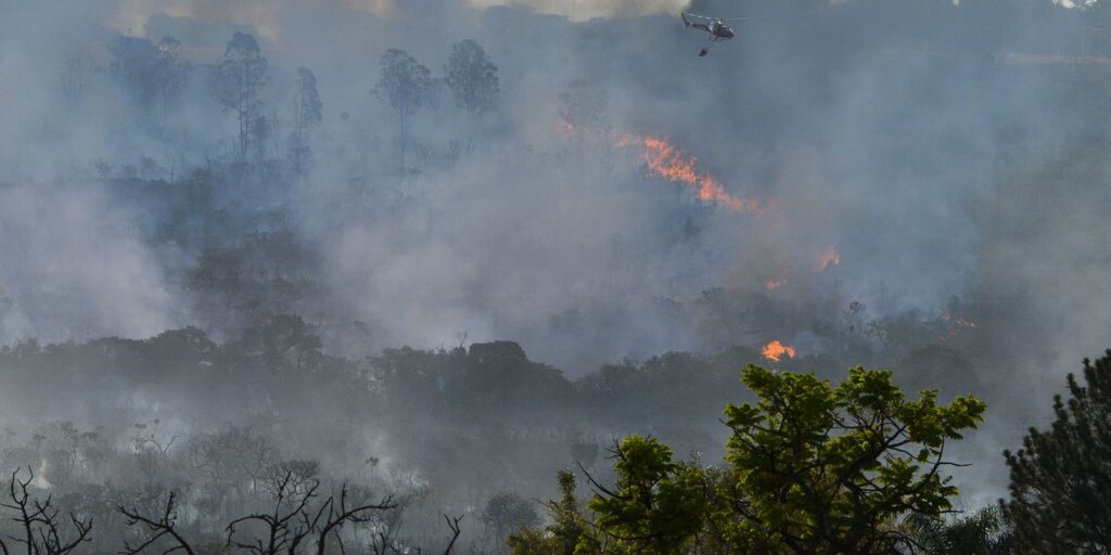 Decreto suspende queimadas em todo território nacional
