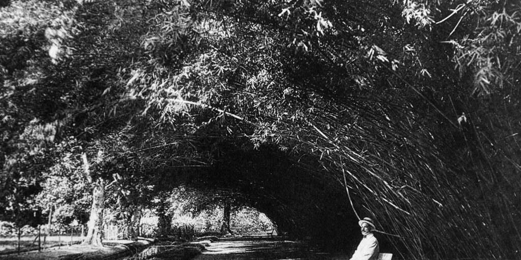 Jardim Botânico do Rio expõe imagens da missão belga de 1922 ao Brasil