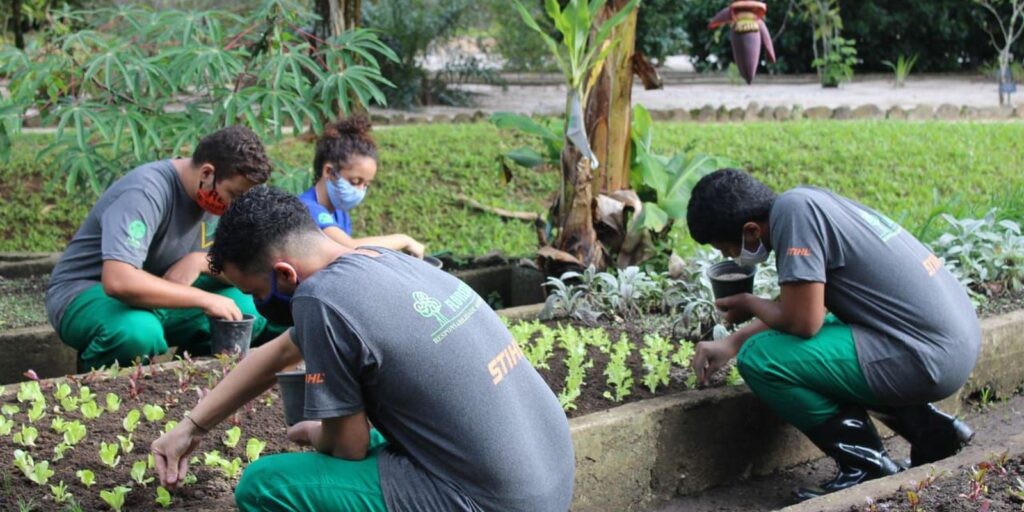 Escola Nacional do Jardim Botânico abre vagas para jovens no Rio