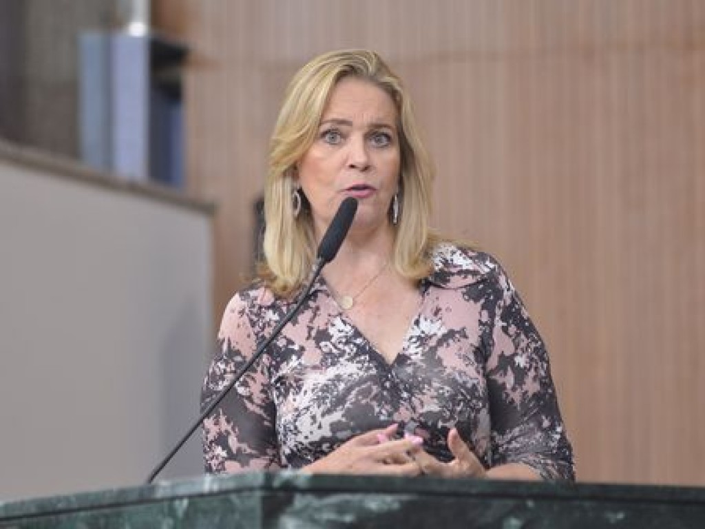 Líder do PSDB, Lêda Borges avalia o semestre e afirma que, em ano de campanha, deputados vão trabalhar mais