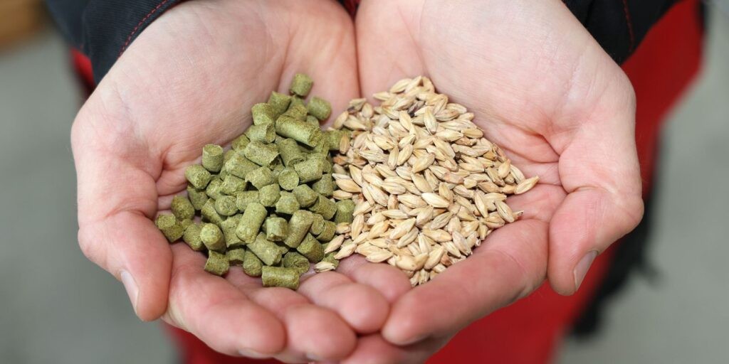 Teresópolis recebe título de Capital Nacional do Lúpulo