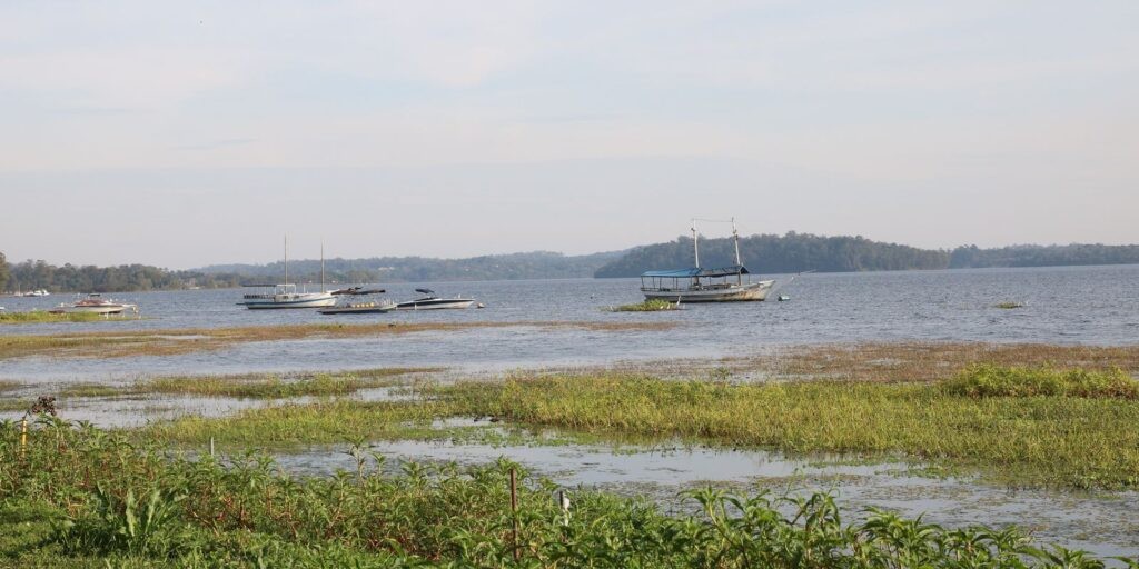 Capital paulista terá trilha de 170 km ligando parques da zona sul