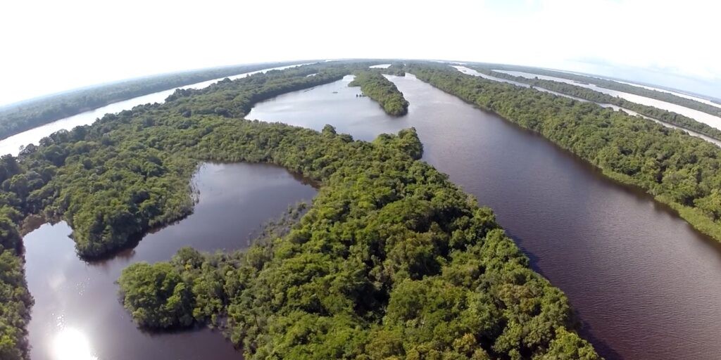 Parque Nacional de Anavilhanas é tema do Caminhos da Reportagem