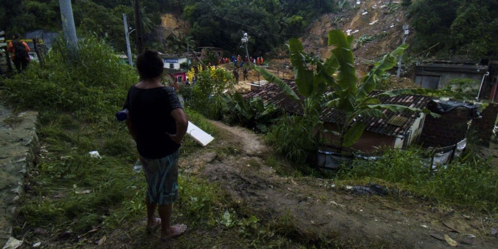 CMN prolonga linhas para agricultores afetados por chuvas no Nordeste