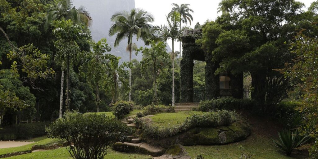 Acervo fotográfico do Jardim Botânico do Rio será revitalizado