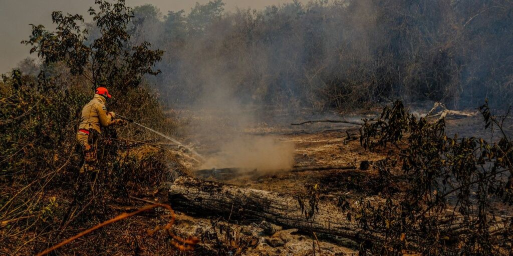 Incêndios no Pantanal motivam estado de emergência em 14 cidades no MS