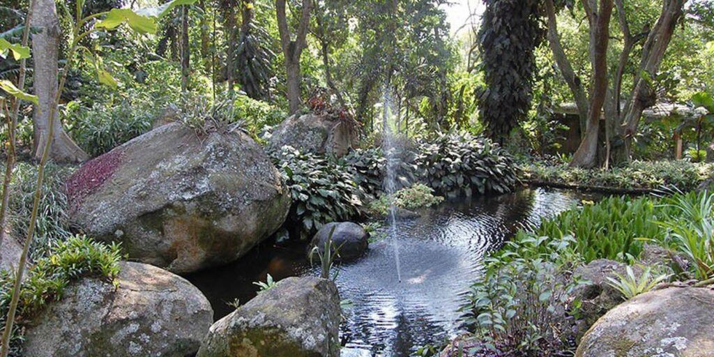 Sítio Roberto Burle Marx, um legado para a humanidade