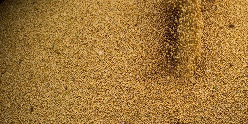 Projeções da AEB para balança comercial apontam para novos recordes