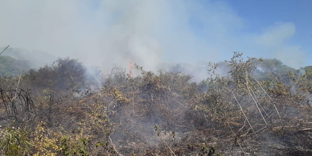 Governo federal reconhece emergência em cidades de Mato Grosso do Sul