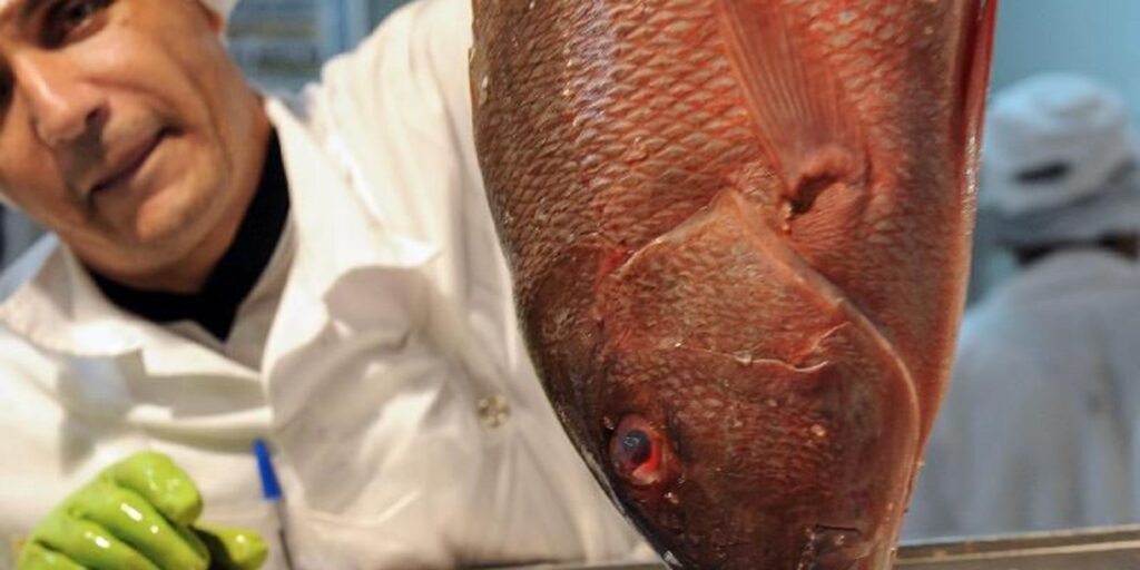 Semana do Pescado quer criar nova temporada de consumo no 2º semestre
