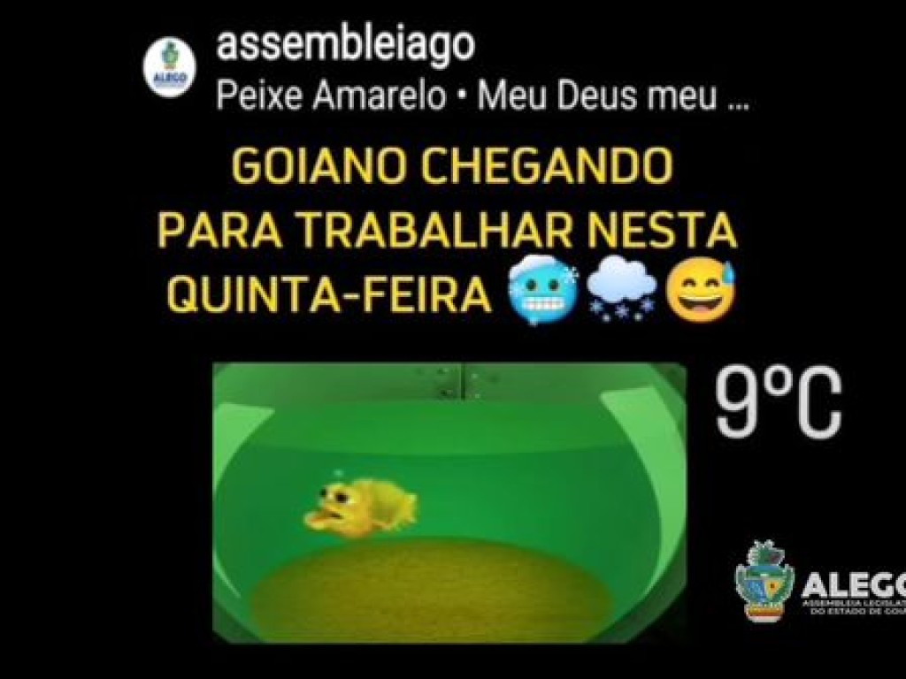 Redes sociais: post da Alego sobre o frio atípico em Goiás viraliza e é citado em jornal local
