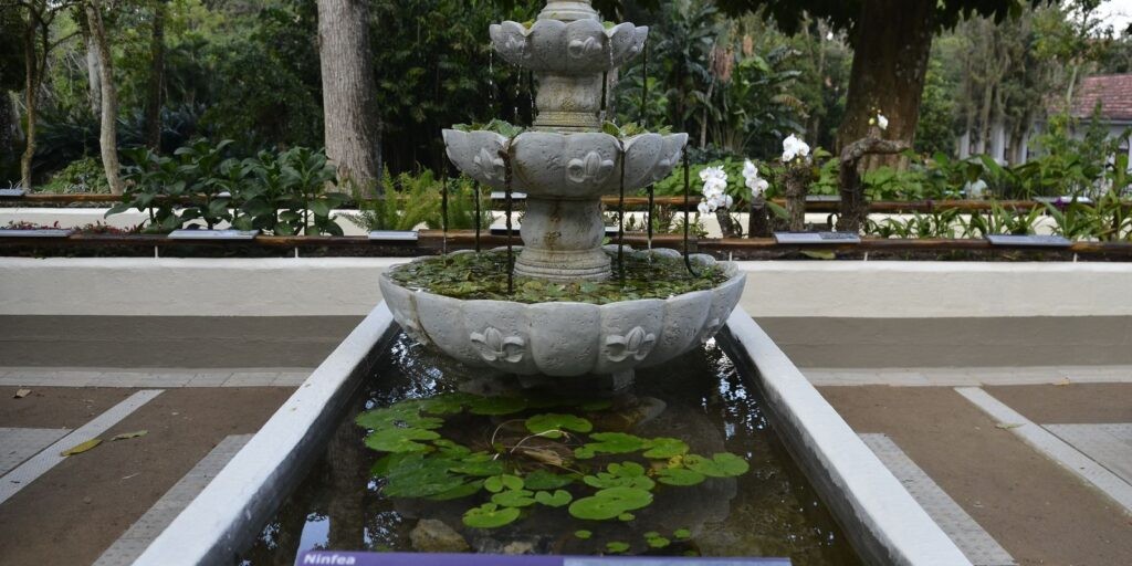 Jardim Botânico do Rio abre neste domingo Semana do Bioma Amazônia