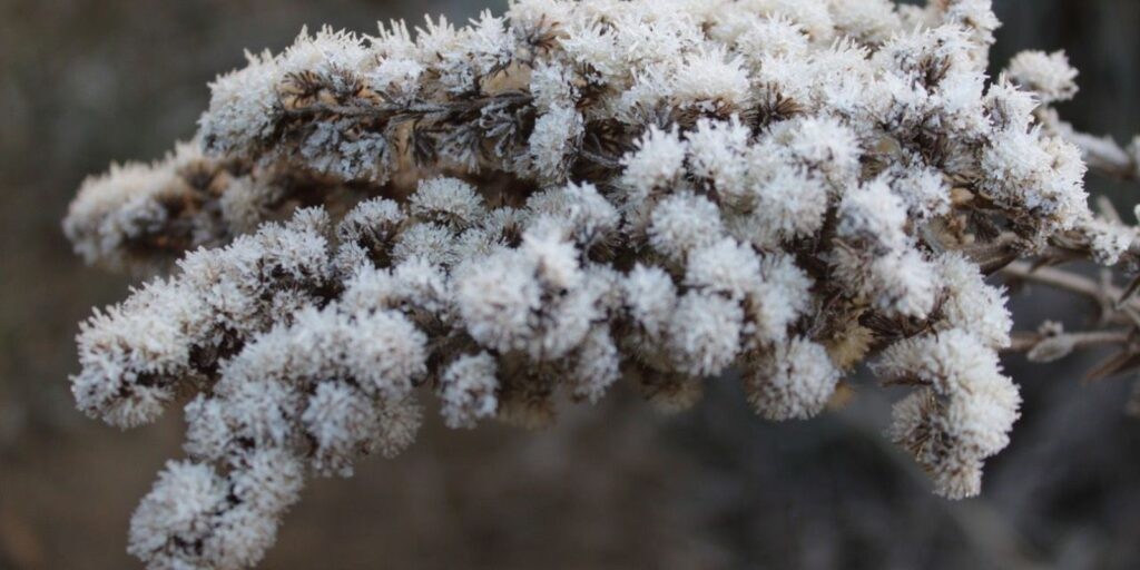 Região Sul tem previsão de temporais e geada para este fim de semana
