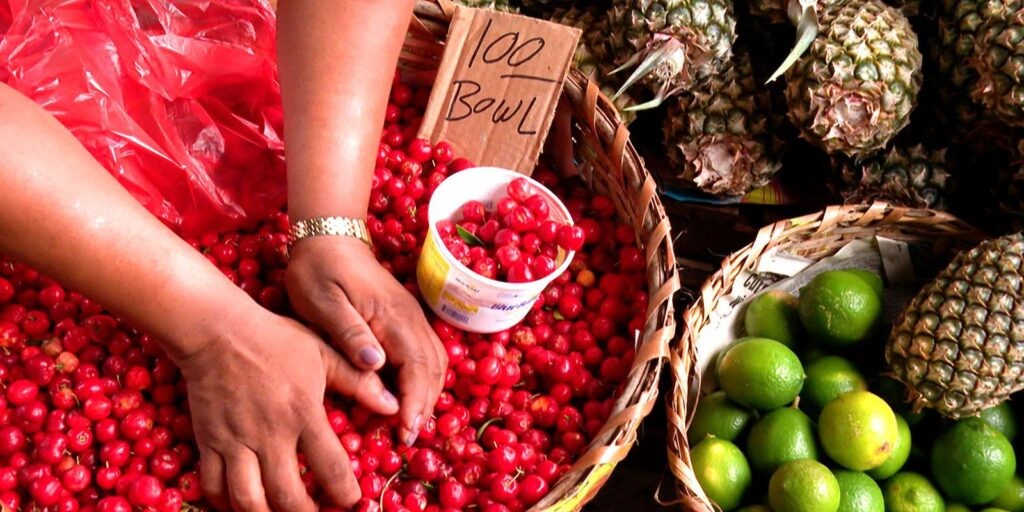 Caminhos da Reportagem faz uma viagem pela vizinha Guiana