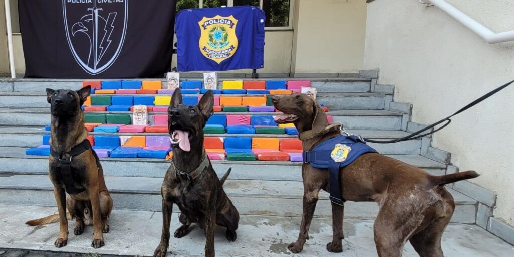  PRF faz apreensão de pasta de cocaína no estado do Rio