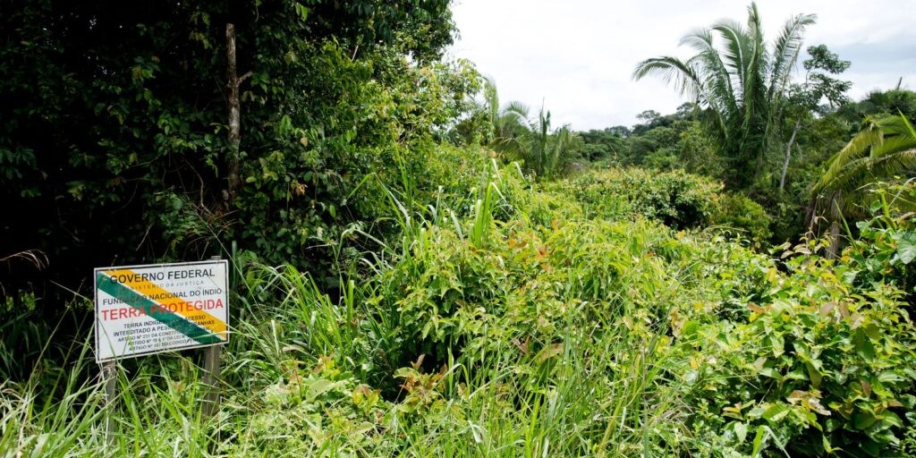 BNDES avalia concessão ambiental com pagamento para conservação