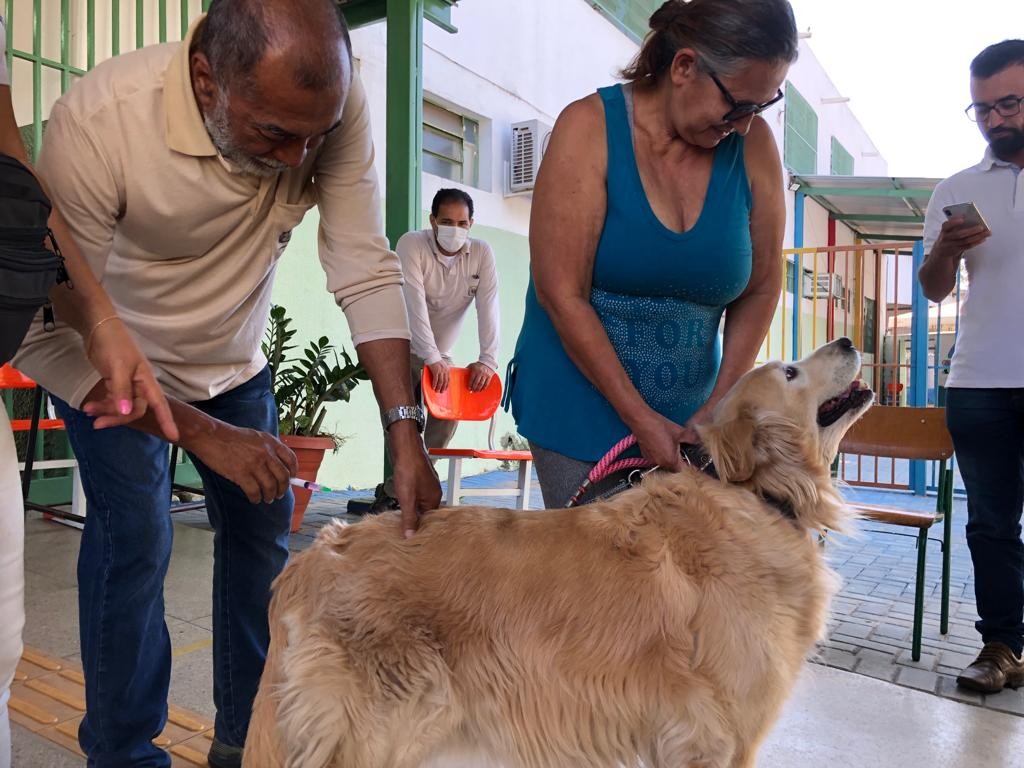 Goiânia terá 75 pontos de vacinação antirrábica de cães e gatos, neste sábado (24/09)