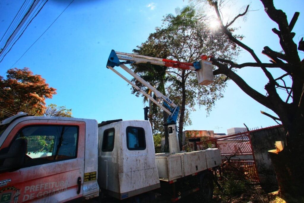Prefeitura de Goiânia realiza poda preventiva de árvores em seis bairros da capital, nesta sexta-feira (30/09)