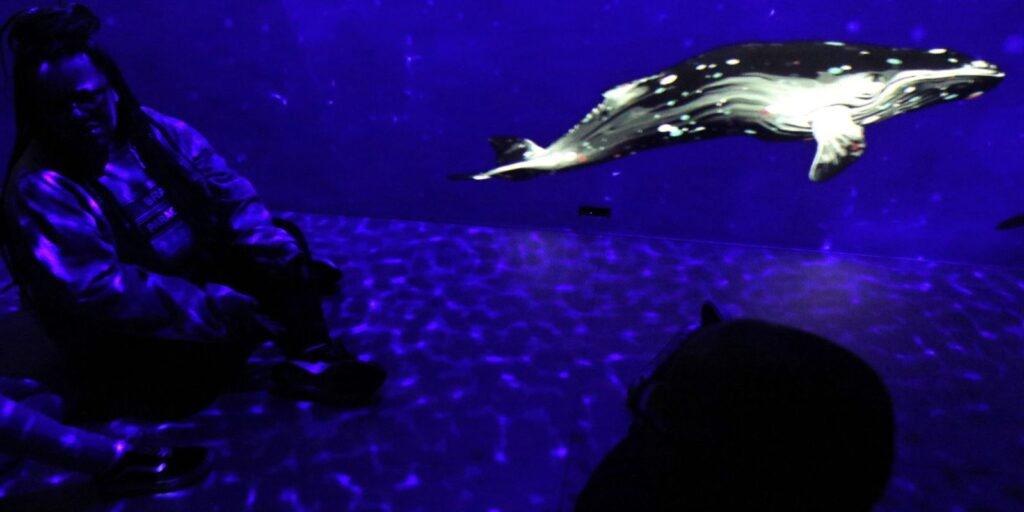 Exposição imersiva Oceano sem Fronteiras estreia no AquaRio