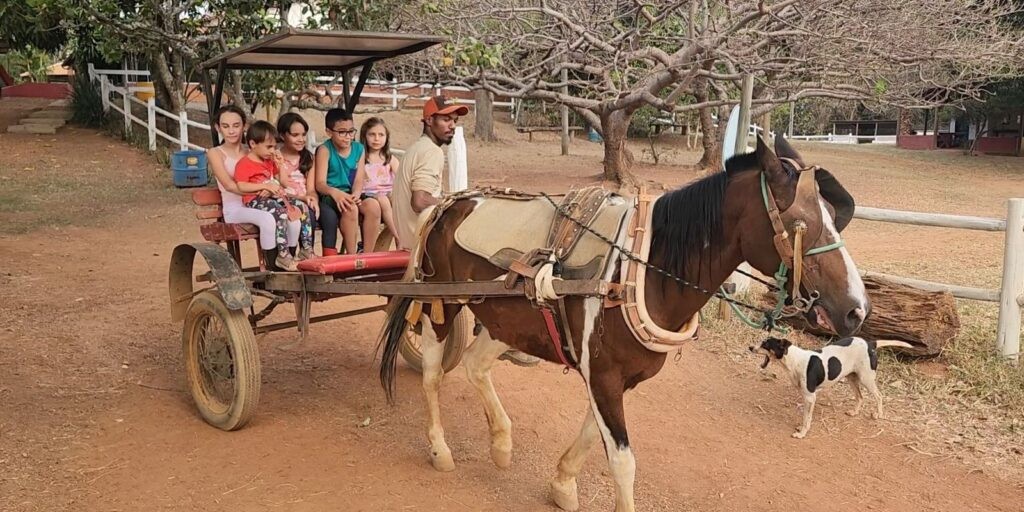 Programa Caminhos da Reportagem se aventura pelo turismo rural