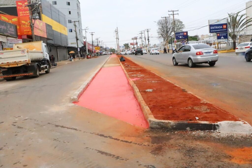 Prefeitura de Goiânia prepara plantio de 120 árvores na Região da 44