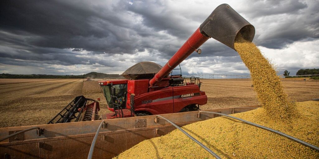 Governo cria grupo para implementar Observatório das Mulheres Rurais