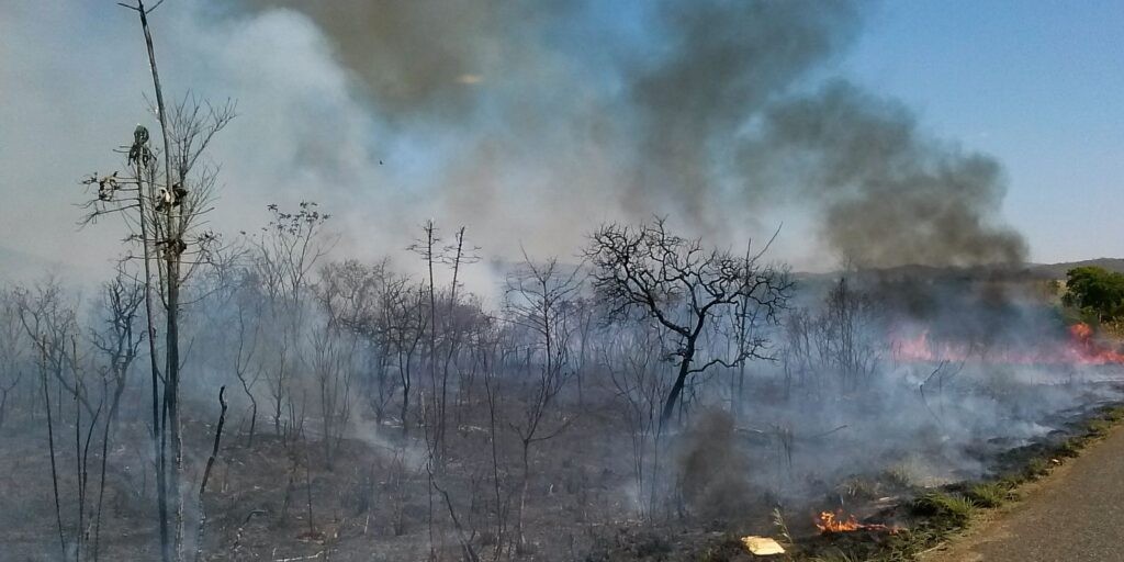 Mato Grosso intensifica ações contra crimes ambientais