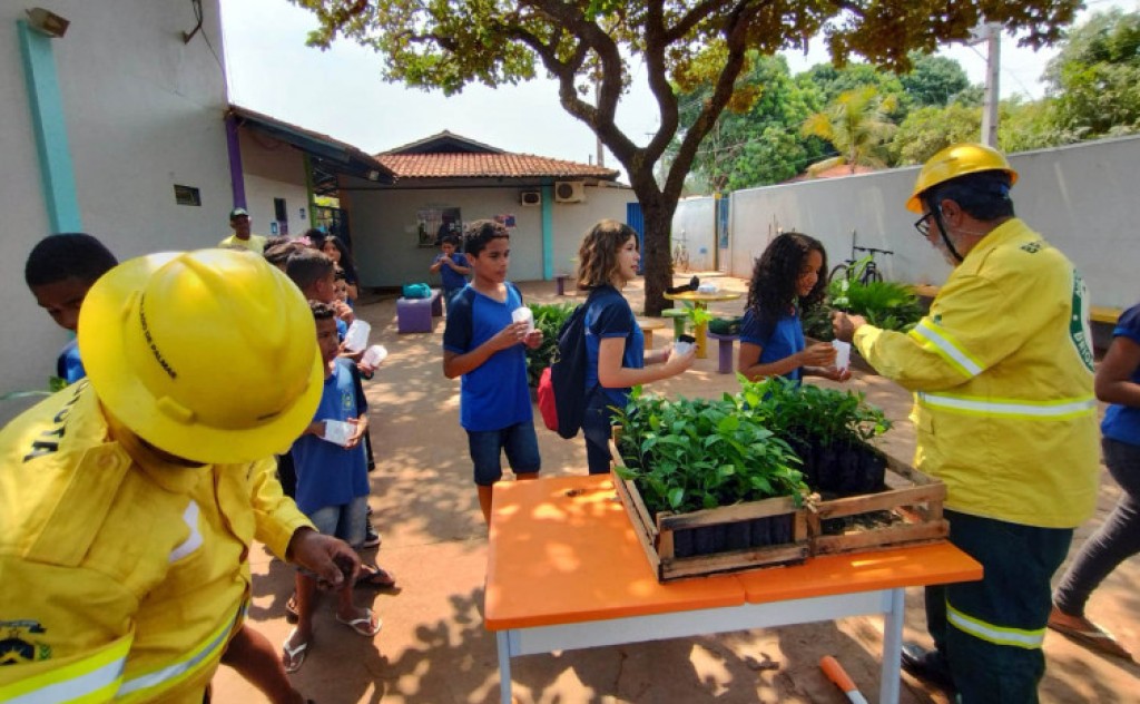 Naturatins distribui mudas de ipê rosa em comemoração ao aniversário da APA do Lago de Palmas