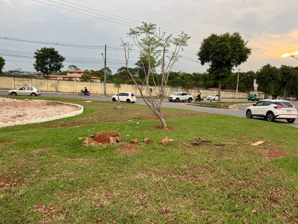 Abrigo de coruja instalado no Jardim Dom Fernando é destruído por vândalos