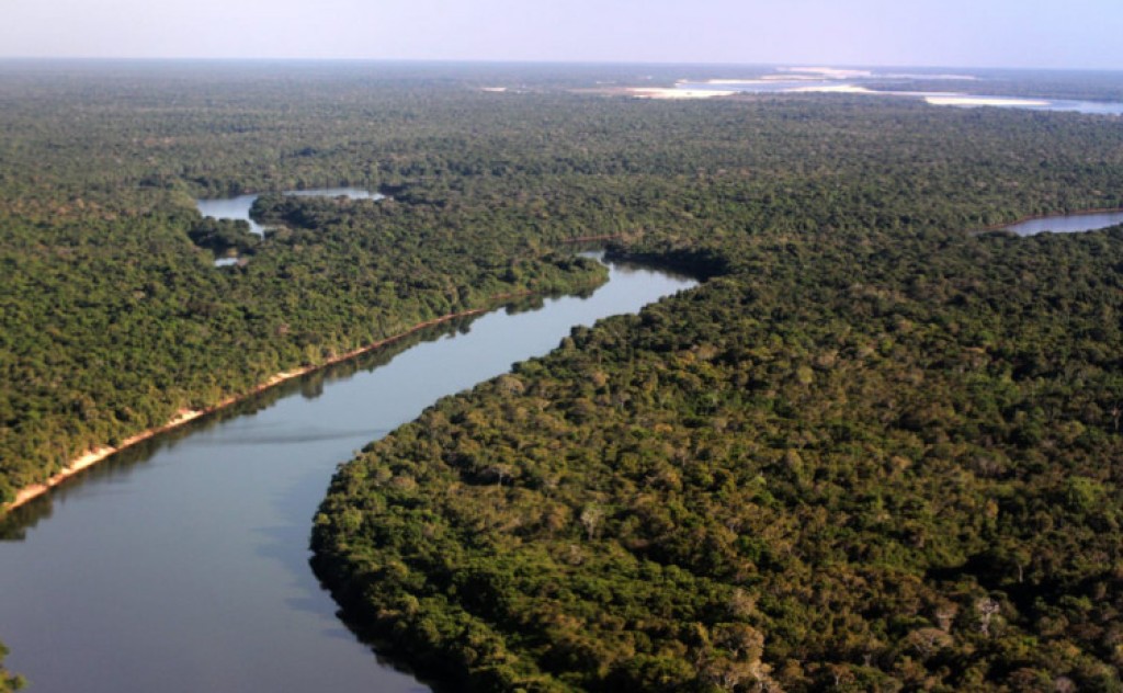 Tocantins irá levar à COP 27 programa de baixas emissões que o torna elegível para acessar recursos na ordem de 200 milhões de toneladas de créditos de Carbono