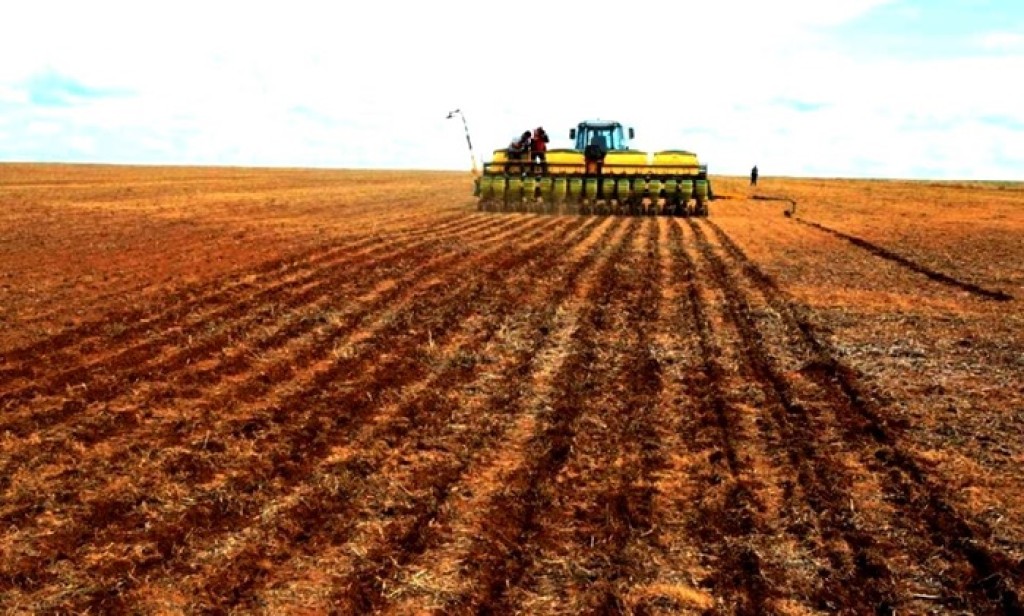 Vazio sanitário da soja chega ao fim